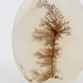 تصویر سنگ شجر کد 2392 