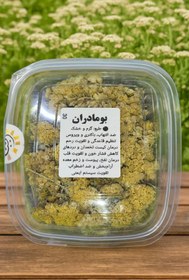 تصویر گیاه بومادران - 40 گرم 