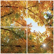 تصویر تایل سقفی آسمان مجازی پانوتایل مدل SK-433-2x2 سایز 60x60 سانتیمتر مجموعه 4 عددی artificial sky PanoTile code SK-433-2x2 size 60x60 cm (6 Pcs)