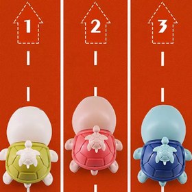 تصویر لاکپشت تندرو 