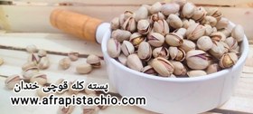 تصویر پسته کله قوچی خندان 