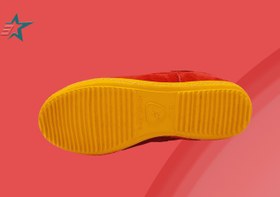 تصویر کفش کشتی نایکی 