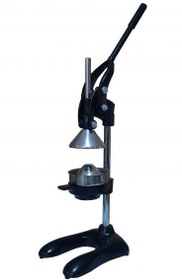 تصویر آبمیوه گیر ارس 