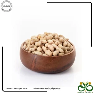 تصویر فروشگاه بازرگانی ارگانیک رحیمی شادگان