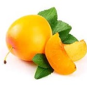 تصویر آلو زرد ارگانیک 