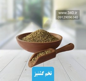 تصویر تخم گشنیز 250 گرمی خواص و عوارض گشنیز 