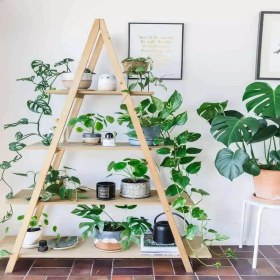 تصویر استند گلدان مدل MG1 