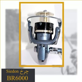 تصویر چرخ ماهیگیری Seidon BR6000 اسپول فلز - گیربکس دار 