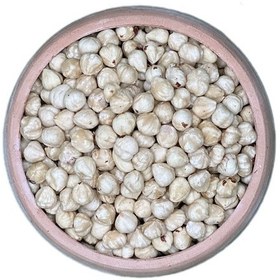 تصویر مغز فندق سفید 