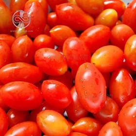 تصویر بذر گوجه زیتونی ببری زرد درختی cherry tomato seeds