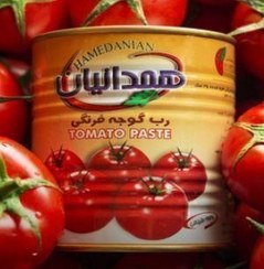 تصویر رب گوجه فرنگی همدانیان 800 گرم - باکس 12 عددی Hamedanian tomato paste 800 grams - box of 12 pieces