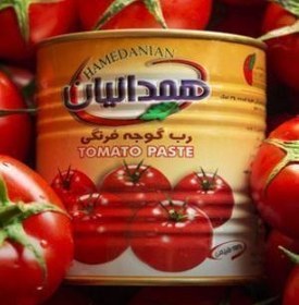 تصویر رب گوجه فرنگی همدانیان 800 گرم - باکس 12 عددی Hamedanian tomato paste 800 grams - box of 12 pieces