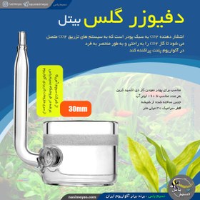 تصویر دیفیوزر بیتل 30 میل آکواریوم های پلنت سیچم seachem Flourish Advance