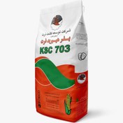 تصویر بذر ذرت 703 703 corn seed