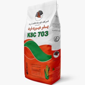 تصویر بذر ذرت 703 703 corn seed