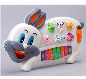 تصویر ارگ خرگوش خارجی اصلی 