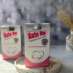 تصویر قرص حجم دهنده سینه گین آپ ۶۰ عددی 