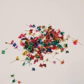 تصویر شکوفه رنگی ریز 