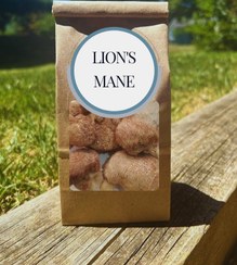 تصویر قارچ یال شیر (لاینزمین هریسیوم) بسته ۵۰ گرمی - پودر شده Lionsmane50gr