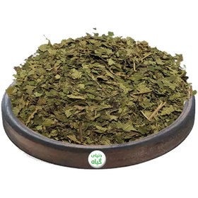 تصویر برگ گردو 