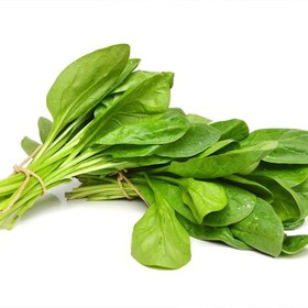 تصویر بذر اسفناج 10، 100 و 500 گرمی