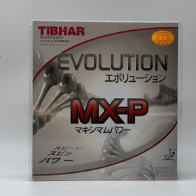 تصویر رویه راکت برند TIBHAR مدل MX-P 