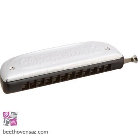 تصویر سازدهنی کروماتیک هوهنر مدل Chrometta 12 