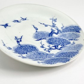 تصویر بشقاب آریتا 