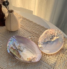 تصویر صدف مرواریدی 