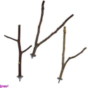 تصویر نشیمنگاه پرنده مدل چوبی طرح شاخه مناسب طوطی و پرندگان زینتی 