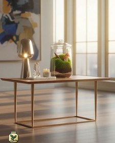 تصویر تراریوم خزه ای 