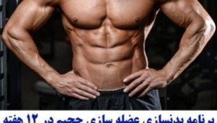 تصویر برنامه ورزشی بدنسازی عضله سازی حجیم و سریع 12 هفته ای 