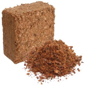 تصویر کوکو چیپس 