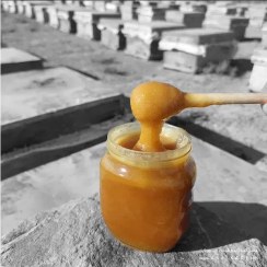 تصویر عسل چند گیاه خام - ارگانیک - وزن-خالص: 500 گـــــرمی 