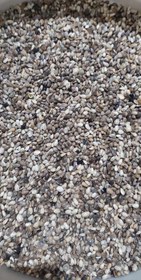 تصویر خرید دانه تیغ سهره دان خارزرد تقویت باروری، ضدالتهاب و شاداب‌کننده پرندگان زینتی - 2 کیلویی 