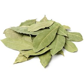 تصویر برگ بو عمده 