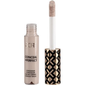 تصویر کانسیلر سیور 