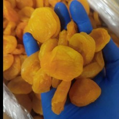 تصویر برگه زردآلو قیسی 