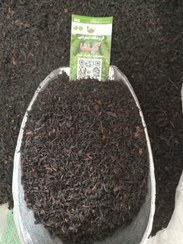 تصویر ممتاز ویژه سرگل بهاره۱۴۰۴ | یک گیلو 