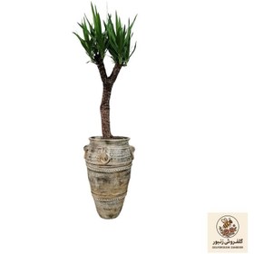 تصویر گیاه طبیعی یوکا مدل 1224 | کد: ZNB-3DC 