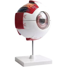 تصویر مولاژ چشم 20 برابر 