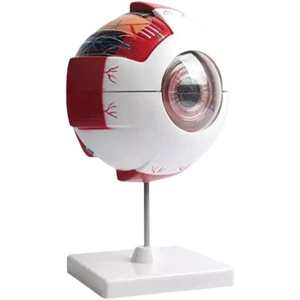 تصویر فروشگاه تهران مدیکال