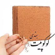 تصویر کوکوپیت قالبی هندی 