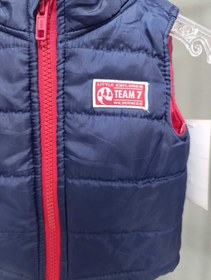 تصویر پافر نوزادی کد 15757 