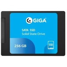 تصویر حافظه اس اس دی گیگا مدل Giga 256GB SSD Drive 