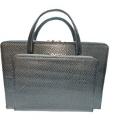 تصویر کلاسور پوست ماری مشکی 