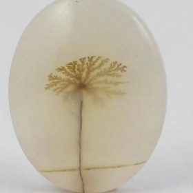 تصویر سنگ شجر کد 2395 