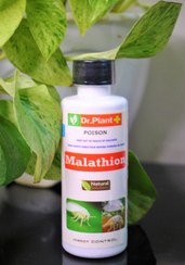 تصویر مالاتیون(ضد شته، مگس سفیدبال و..) 125 میلی لیتر 