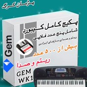 تصویر پکیج فلاپی ریتم و صدا ارگ جی ام مدل WK1 GEM WK1