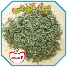 تصویر پونه کوهی اعلا – 500گرم 